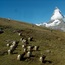 Zermatt