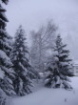 Saas Almagell im Winter